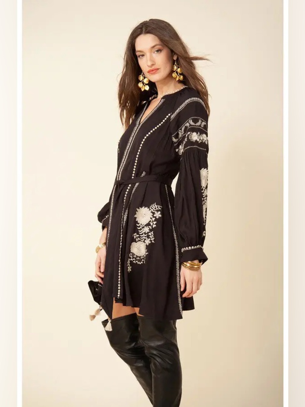 Hale Bob Mila Embroidered A line Mini Dress  Long Sleeve in brown